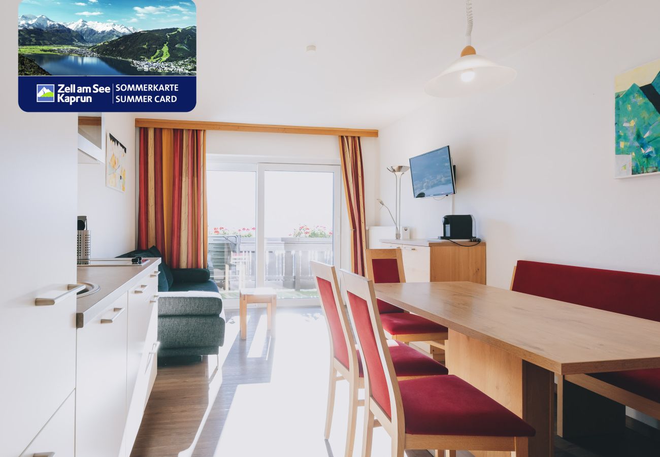 Apartment in Zell am See - Apartments Haus Altenberger #3 Bergblick